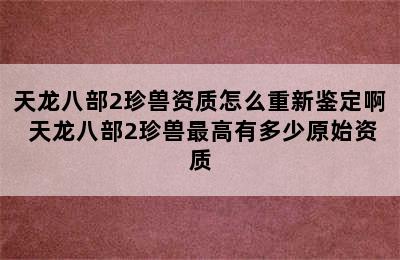 天龙八部2珍兽资质怎么重新鉴定啊 天龙八部2珍兽最高有多少原始资质